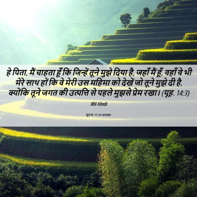 Picture 06 - यूहन्ना 17:24 HINIRV - हे पिता, मैं चाहता - Bible Verse Picture