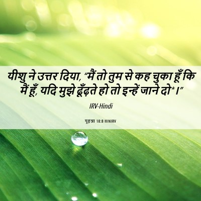 Picture 06 - यूहन्ना 18:8 HINIRV - यीशु ने उत्तर दिया, - Bible Verse Picture
