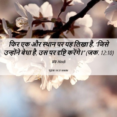 Picture 06 - यूहन्ना 19:37 HINIRV - फिर एक और स्थान पर - Bible Verse Picture