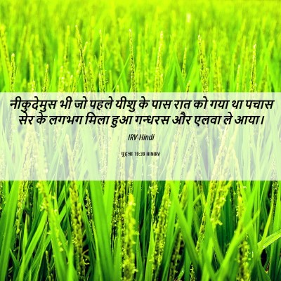 Picture 06 - यूहन्ना 19:39 HINIRV - नीकुदेमुस भी जो - Bible Verse Picture