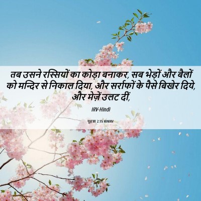 Picture 06 - यूहन्ना 2:15 HINIRV - तब उसने रस्सियों - Bible Verse Picture