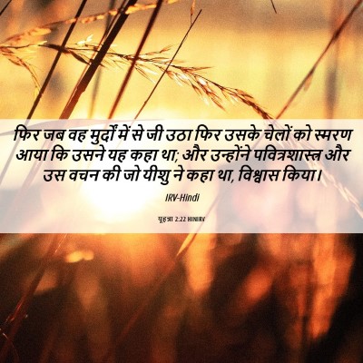 Picture 06 - यूहन्ना 2:22 HINIRV - फिर जब वह मुर्दों - Bible Verse Picture