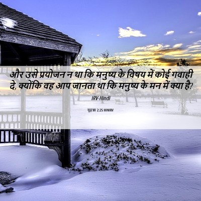 Picture 06 - यूहन्ना 2:25 HINIRV - और उसे प्रयोजन न था - Bible Verse Picture