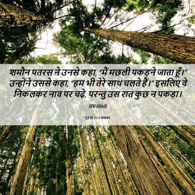 Picture 06 - यूहन्ना 21:3 HINIRV - शमौन पतरस ने उनसे - Bible Verse Picture