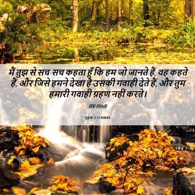 Picture 06 - यूहन्ना 3:11 HINIRV - मैं तुझ से सच-सच - Bible Verse Picture
