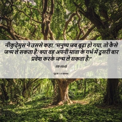 Picture 06 - यूहन्ना 3:4 HINIRV - नीकुदेमुस ने उससे - Bible Verse Picture