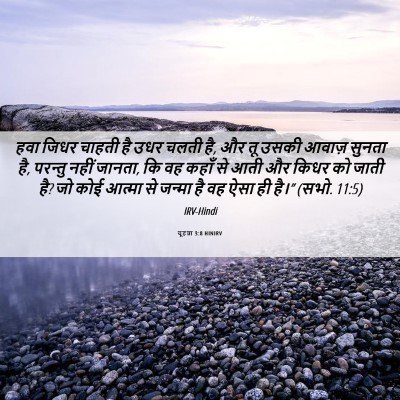 Picture 06 - यूहन्ना 3:8 HINIRV - हवा जिधर चाहती है - Bible Verse Picture