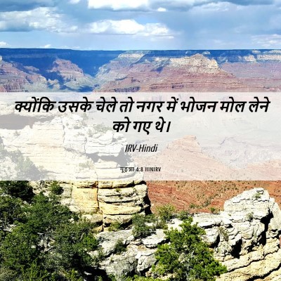 Picture 06 - यूहन्ना 4:8 HINIRV - क्योंकि उसके चेले - Bible Verse Picture