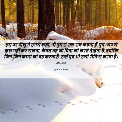 Picture 06 - यूहन्ना 5:19 HINIRV - इस पर यीशु ने उनसे - Bible Verse Picture