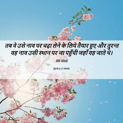 Picture 06 - यूहन्ना 6:21 HINIRV - तब वे उसे नाव पर - Bible Verse Picture