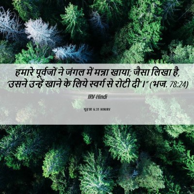 Picture 06 - यूहन्ना 6:31 HINIRV - हमारे पूर्वजों ने - Bible Verse Picture