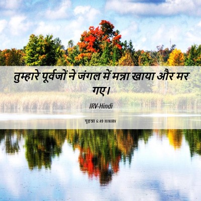 Picture 06 - यूहन्ना 6:49 HINIRV - तुम्हारे पूर्वजों - Bible Verse Picture