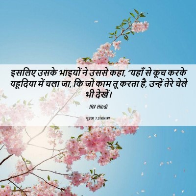 Picture 06 - यूहन्ना 7:3 HINIRV - इसलिए उसके भाइयों - Bible Verse Picture