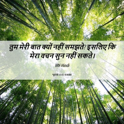 Picture 06 - यूहन्ना 8:43 HINIRV - तुम मेरी बात क्यों - Bible Verse Picture