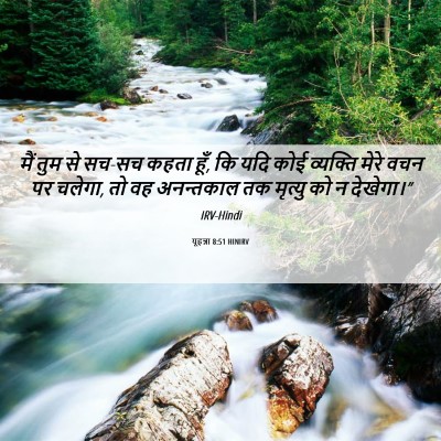 Picture 06 - यूहन्ना 8:51 HINIRV - मैं तुम से सच-सच - Bible Verse Picture