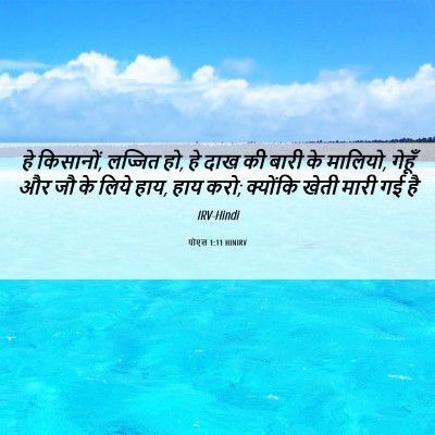 Picture 06 - योएल 1:11 HINIRV - हे किसानों, लज्जित - Bible Verse Picture