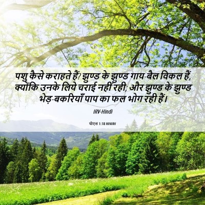 Picture 06 - योएल 1:18 HINIRV - पशु कैसे कराहते - Bible Verse Picture