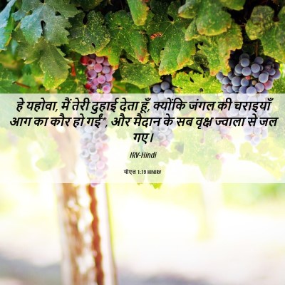 Picture 06 - योएल 1:19 HINIRV - हे यहोवा, मैं तेरी - Bible Verse Picture