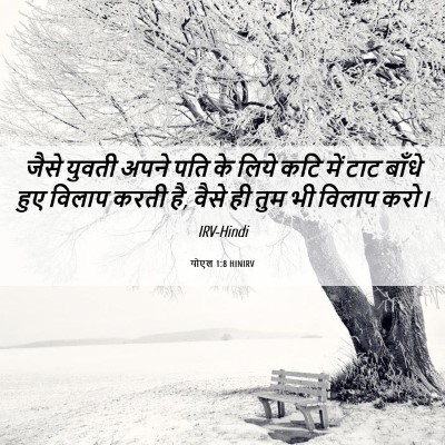 Picture 06 - योएल 1:8 HINIRV - जैसे युवती अपने - Bible Verse Picture