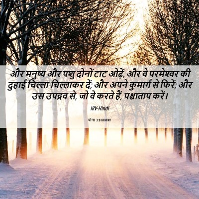 Picture 06 - योना 3:8 HINIRV - और मनुष्य और पशु - Bible Verse Picture