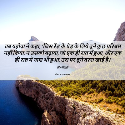 Picture 06 - योना 4:10 HINIRV - तब यहोवा ने कहा, - Bible Verse Picture