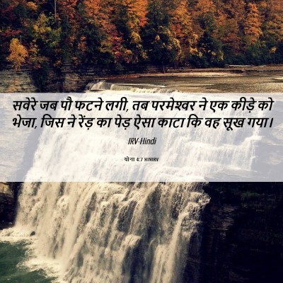Picture 06 - योना 4:7 HINIRV - सवेरे जब पौ फटने - Bible Verse Picture