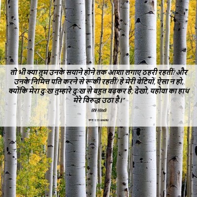 Picture 06 - रूत 1:13 HINIRV - तो भी क्या तुम उनके - Bible Verse Picture