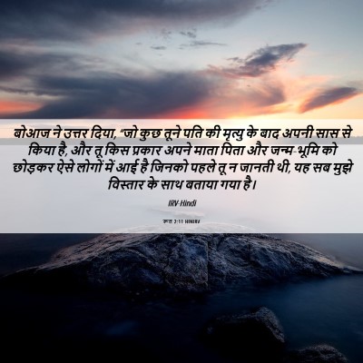 Picture 06 - रूत 2:11 HINIRV - बोआज ने उत्तर दिया, - Bible Verse Picture