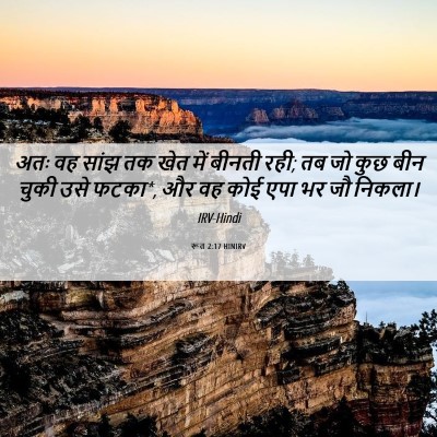 Picture 06 - रूत 2:17 HINIRV - अतः वह सांझ तक खेत - Bible Verse Picture