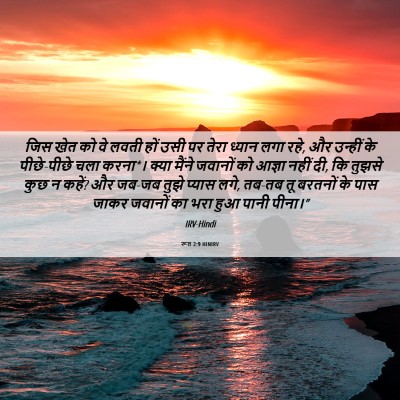 Picture 06 - रूत 2:9 HINIRV - जिस खेत को वे लवती - Bible Verse Picture