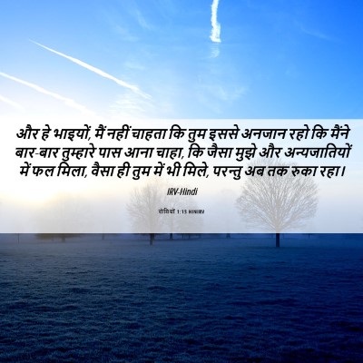 Picture 06 - रोमियों 1:13 HINIRV - और हे भाइयों, मैं - Bible Verse Picture