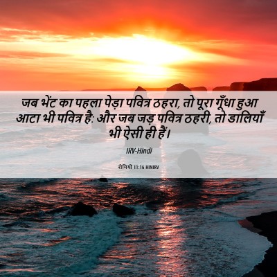 Picture 06 - रोमियों 11:16 HINIRV - जब भेंट का पहला - Bible Verse Picture