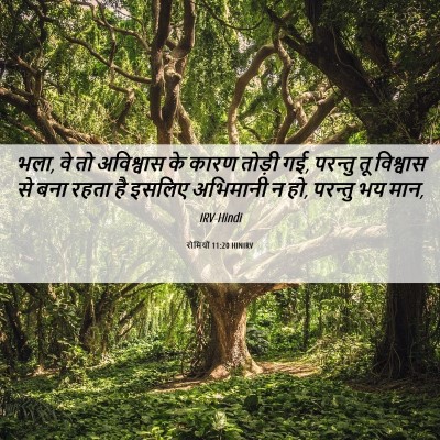 Picture 06 - रोमियों 11:20 HINIRV - भला, वे तो अविश्वास - Bible Verse Picture