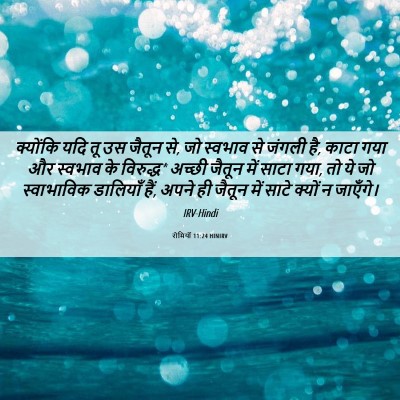 Picture 06 - रोमियों 11:24 HINIRV - क्योंकि यदि तू उस - Bible Verse Picture