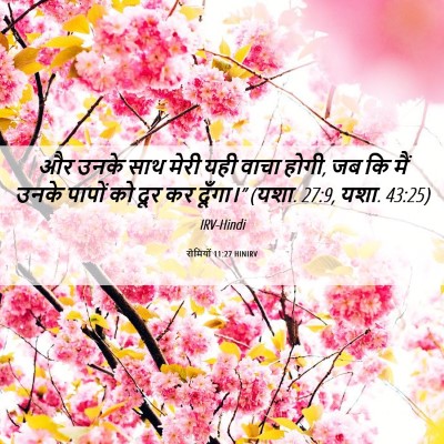 Picture 06 - रोमियों 11:27 HINIRV - और उनके साथ मेरी - Bible Verse Picture