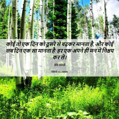 Picture 06 - रोमियों 14:5 HINIRV - कोई तो एक दिन को - Bible Verse Picture