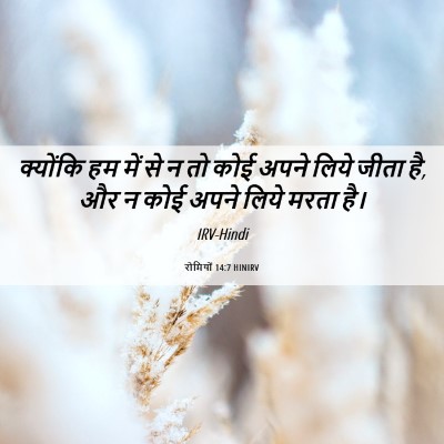 Picture 06 - रोमियों 14:7 HINIRV - क्योंकि हम में से न - Bible Verse Picture