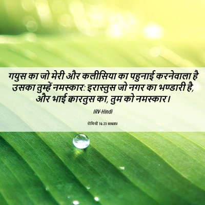Picture 06 - रोमियों 16:23 HINIRV - गयुस का जो मेरी और - Bible Verse Picture