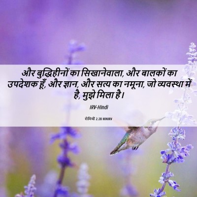 Picture 06 - रोमियों 2:20 HINIRV - और बुद्धिहीनों का - Bible Verse Picture