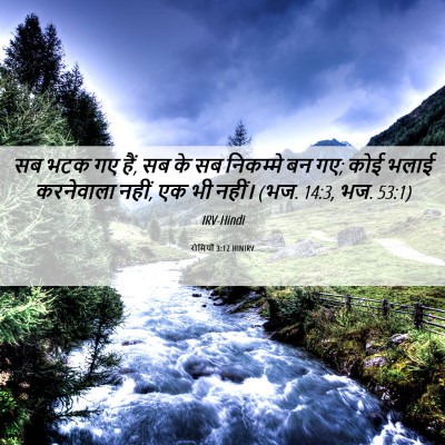 Picture 06 - रोमियों 3:12 HINIRV - सब भटक गए हैं, सब के - Bible Verse Picture