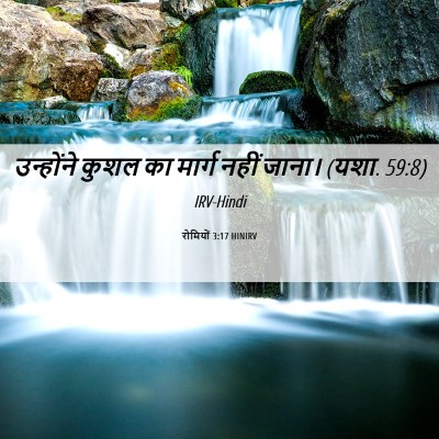 Picture 06 - रोमियों 3:17 HINIRV - उन्होंने कुशल का - Bible Verse Picture