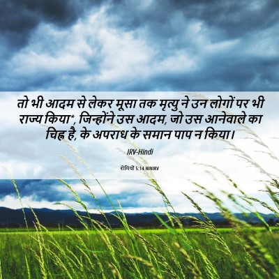 Picture 06 - रोमियों 5:14 HINIRV - तो भी आदम से लेकर - Bible Verse Picture