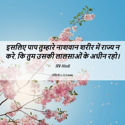 Picture 06 - रोमियों 6:12 HINIRV - इसलिए पाप - Bible Verse Picture