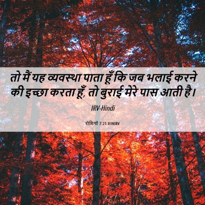 Picture 06 - रोमियों 7:21 HINIRV - तो मैं यह व्यवस्था - Bible Verse Picture