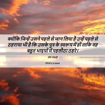 Picture 06 - रोमियों 8:29 HINIRV - क्योंकि जिन्हें - Bible Verse Picture