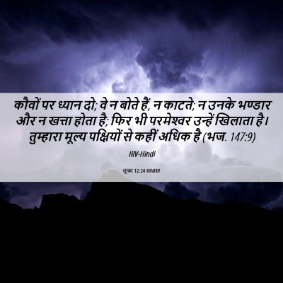 Picture 06 - लूका 12:24 HINIRV - कौवों पर ध्यान दो; - Bible Verse Picture