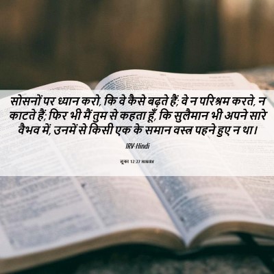 Picture 06 - लूका 12:27 HINIRV - सोसनों पर ध्यान - Bible Verse Picture