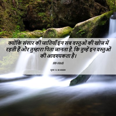 Picture 06 - लूका 12:30 HINIRV - क्योंकि संसार की - Bible Verse Picture