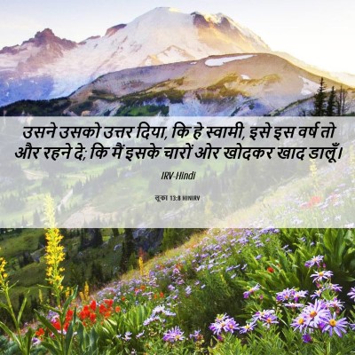 Picture 06 - लूका 13:8 HINIRV - उसने उसको उत्तर - Bible Verse Picture