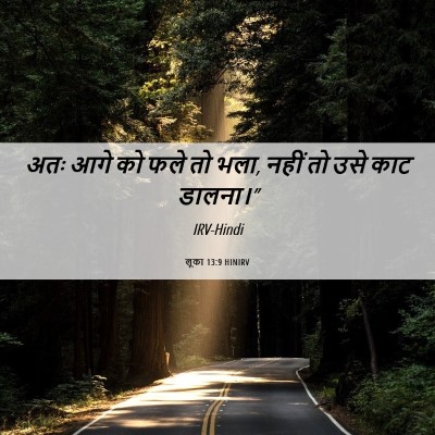 Picture 06 - लूका 13:9 HINIRV - अतः आगे को फले तो - Bible Verse Picture